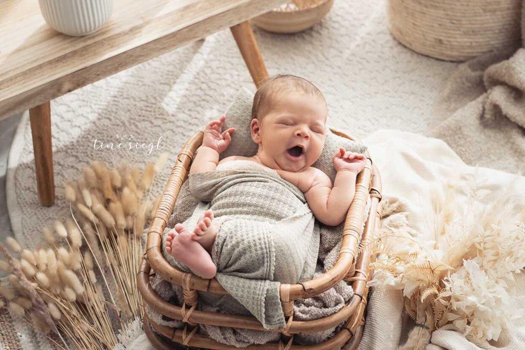 Rattan Korb Rattankorb Bett Newborn Reborn Sitter
