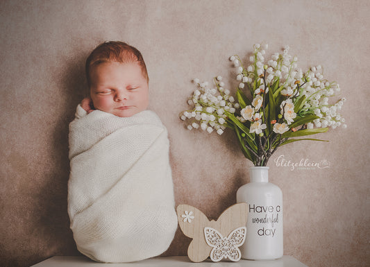 Schneeglöckchen Maiglöckchen Maiglocken